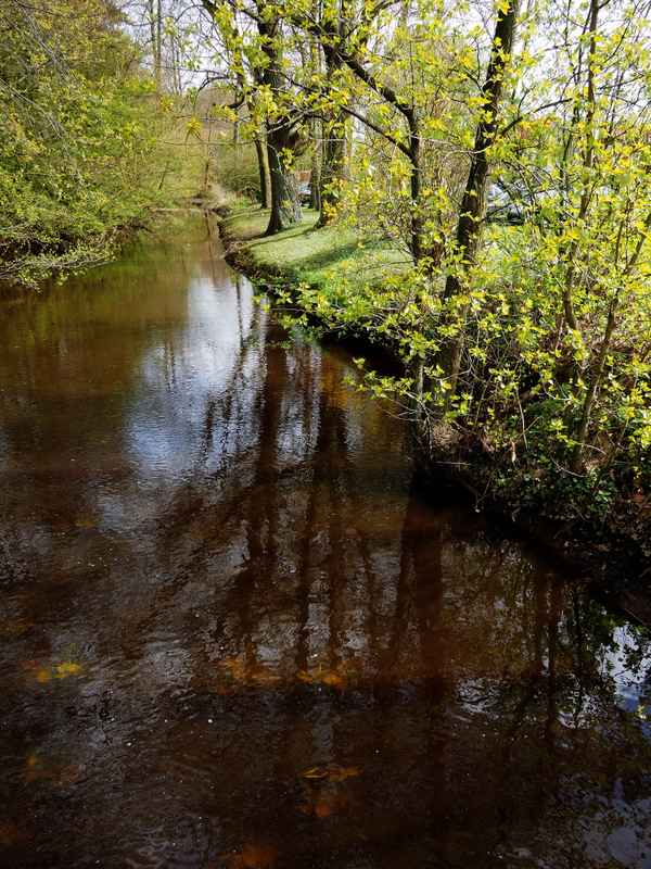 es wird fühling am moorbach