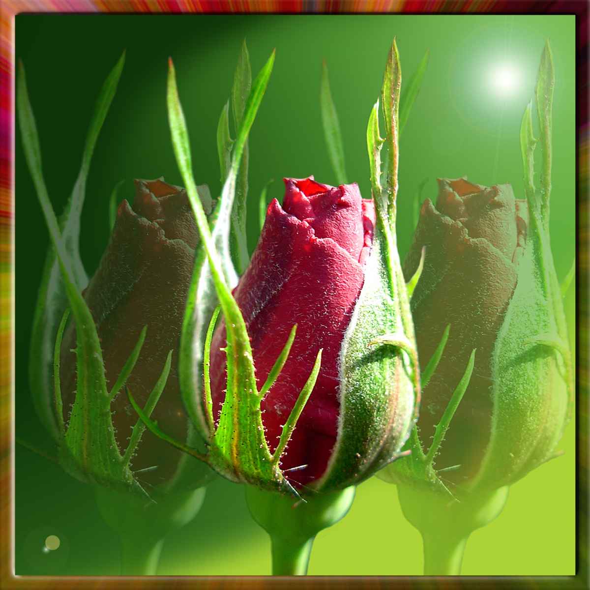 ...im Vordergrund...