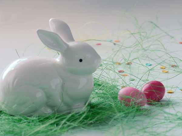 weißes Osterhäschen . . .