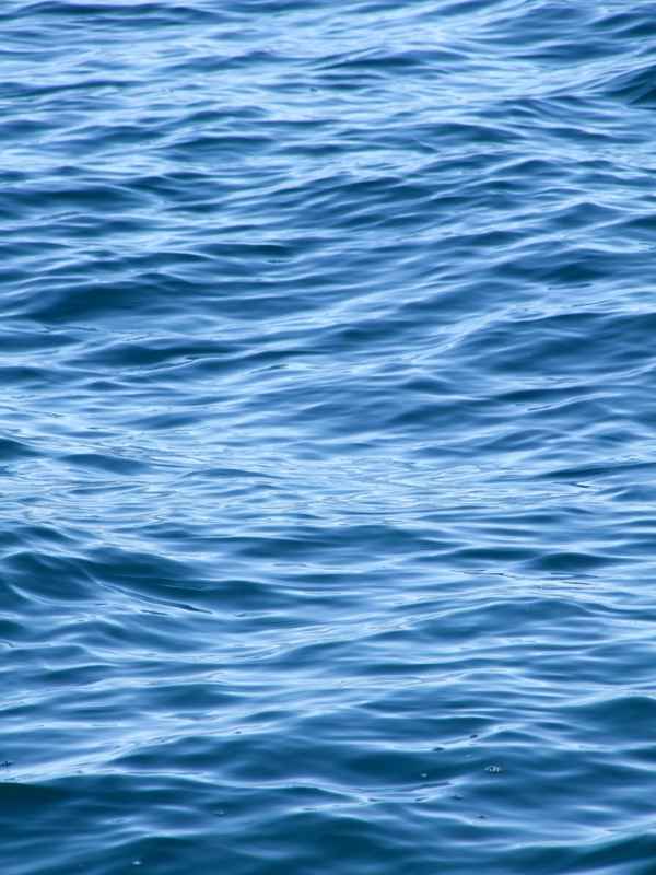 Wasser