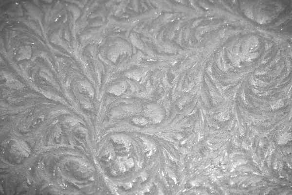 Eisblumen schwarz-weiß
