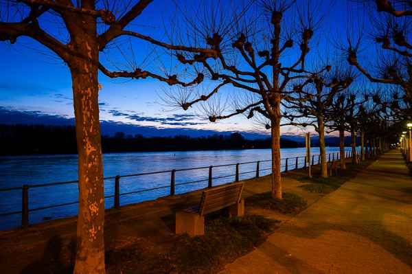 Rheinallee