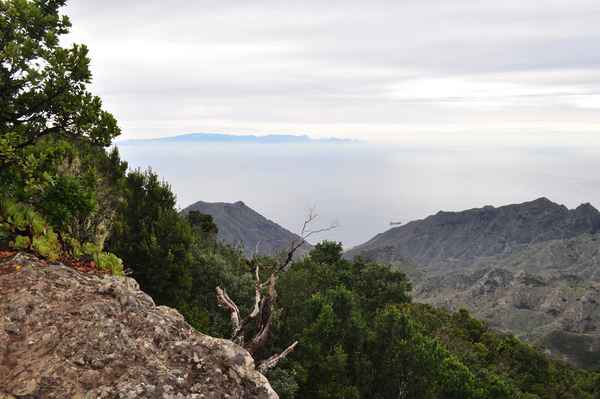 Im Anaga-Regenwald 3