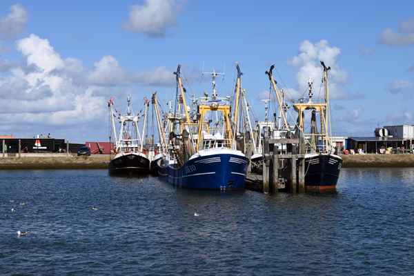 Fischkutter im Hafen