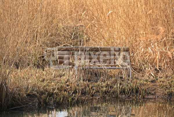 die vergessene bank am see