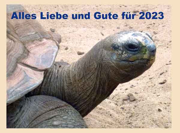 Alles Liebe und Gute 2023