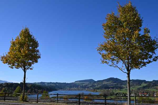 Niedersonthofener See im Herbst