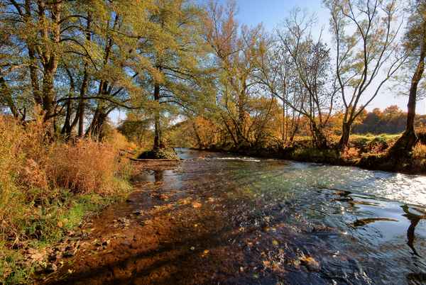 Herbst am Fluss