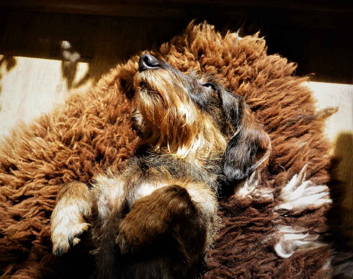 Der Platz an der Sonne