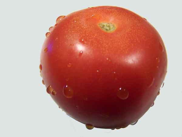 Tomate