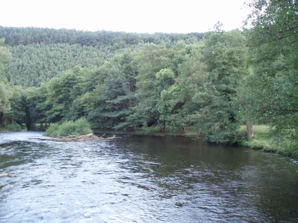 Reine erholsame Natur