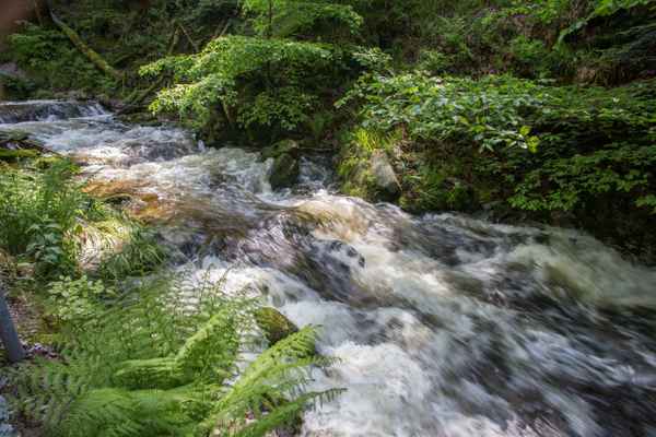 Rauschende Wasser im Schwarzwald