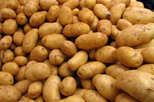 Noch mehr Kartoffeln