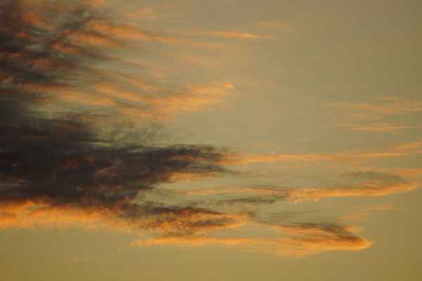 Abendflaum