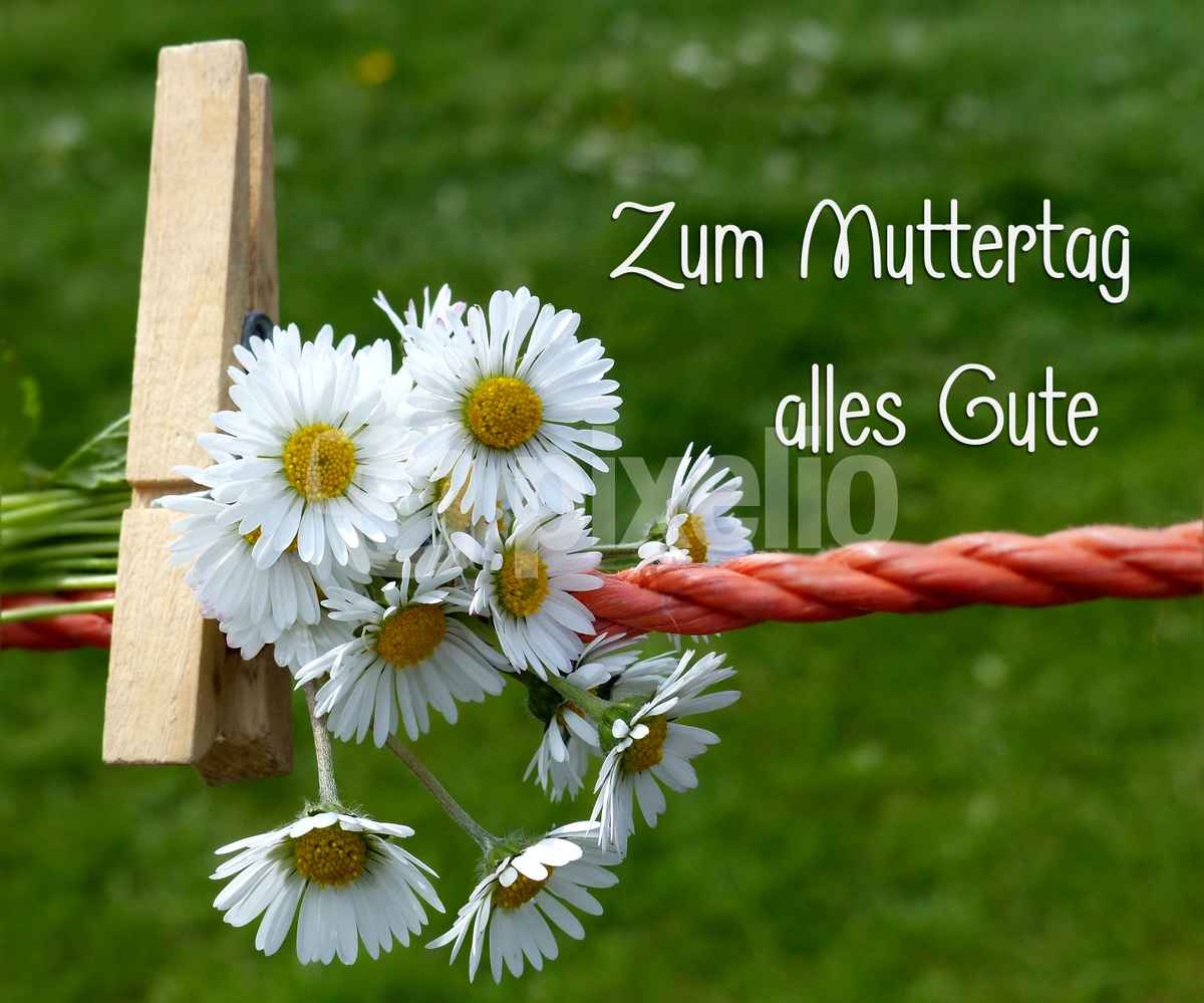 Zum Muttertag