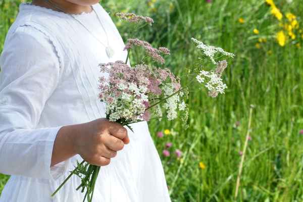 Ein Wiesenblumenstrauß