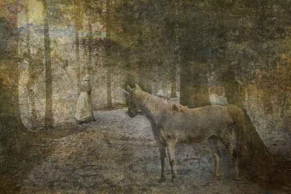 Der Zufall