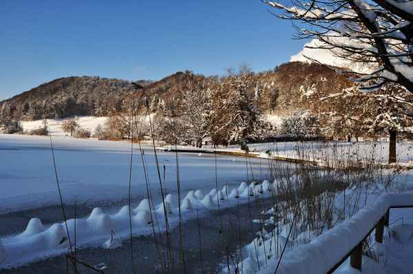 Seltenes Bild vom Türlersee
