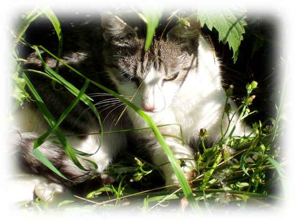 Schön das bald wieder Sommer ist