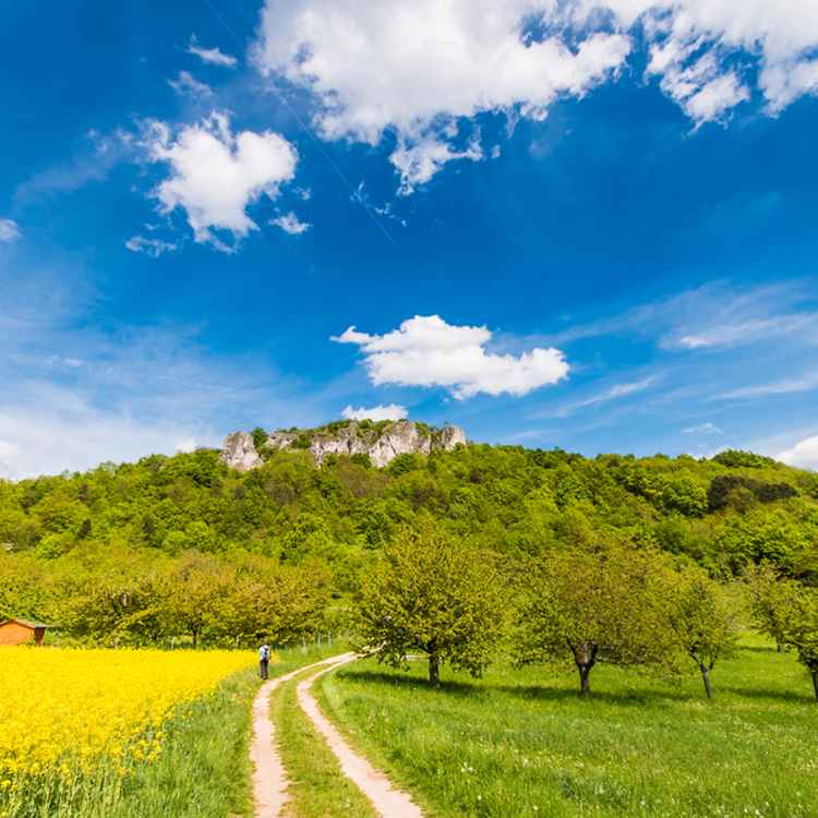 Fränkische Schweiz