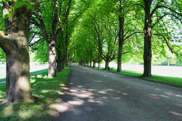 SONNTAGSSPAZIERGANG III