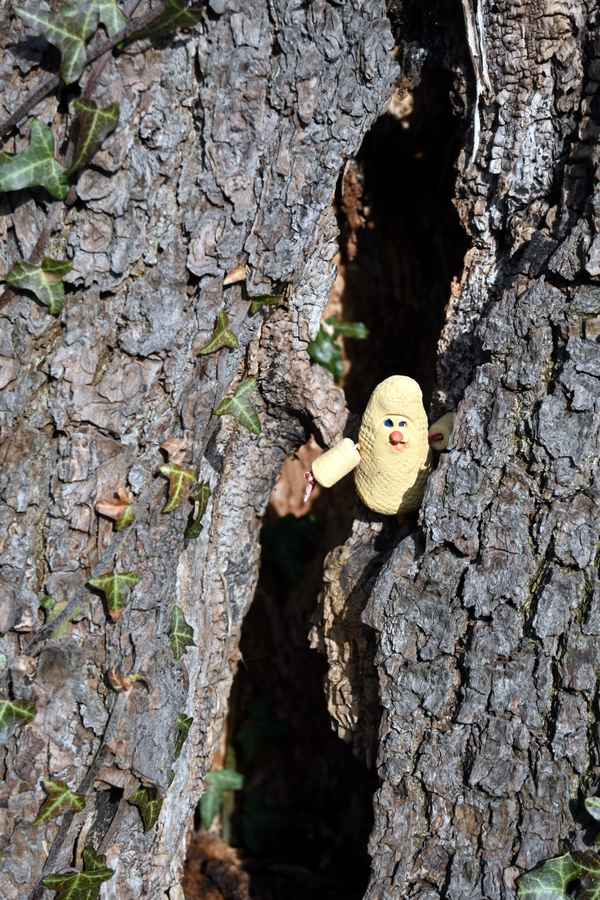Schlossgespenst versteckt in der Baumh&ouml;hle