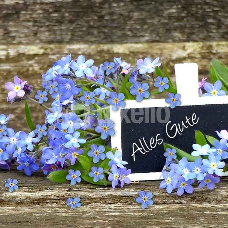 Alles Gute