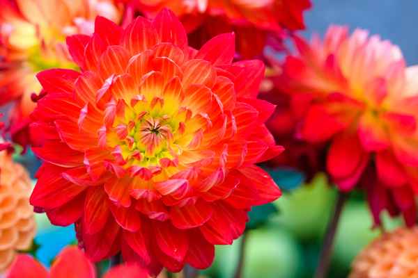 Leuchtende Farben