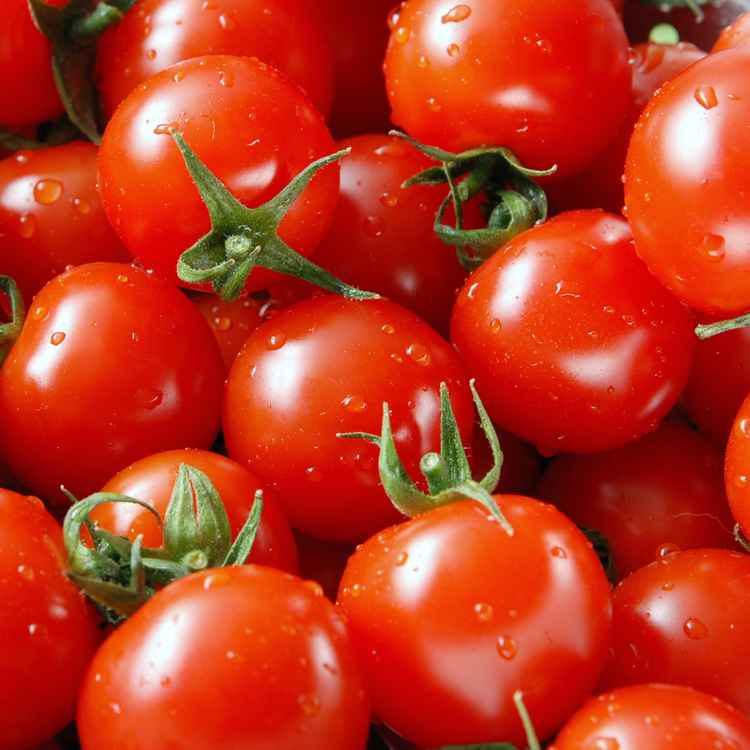 Tomaten (2993 x 2008 pixel)