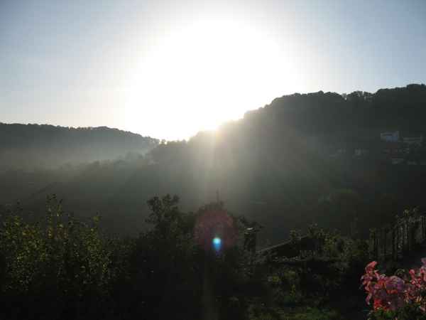 Nebel in den Löwensteiner Bergen