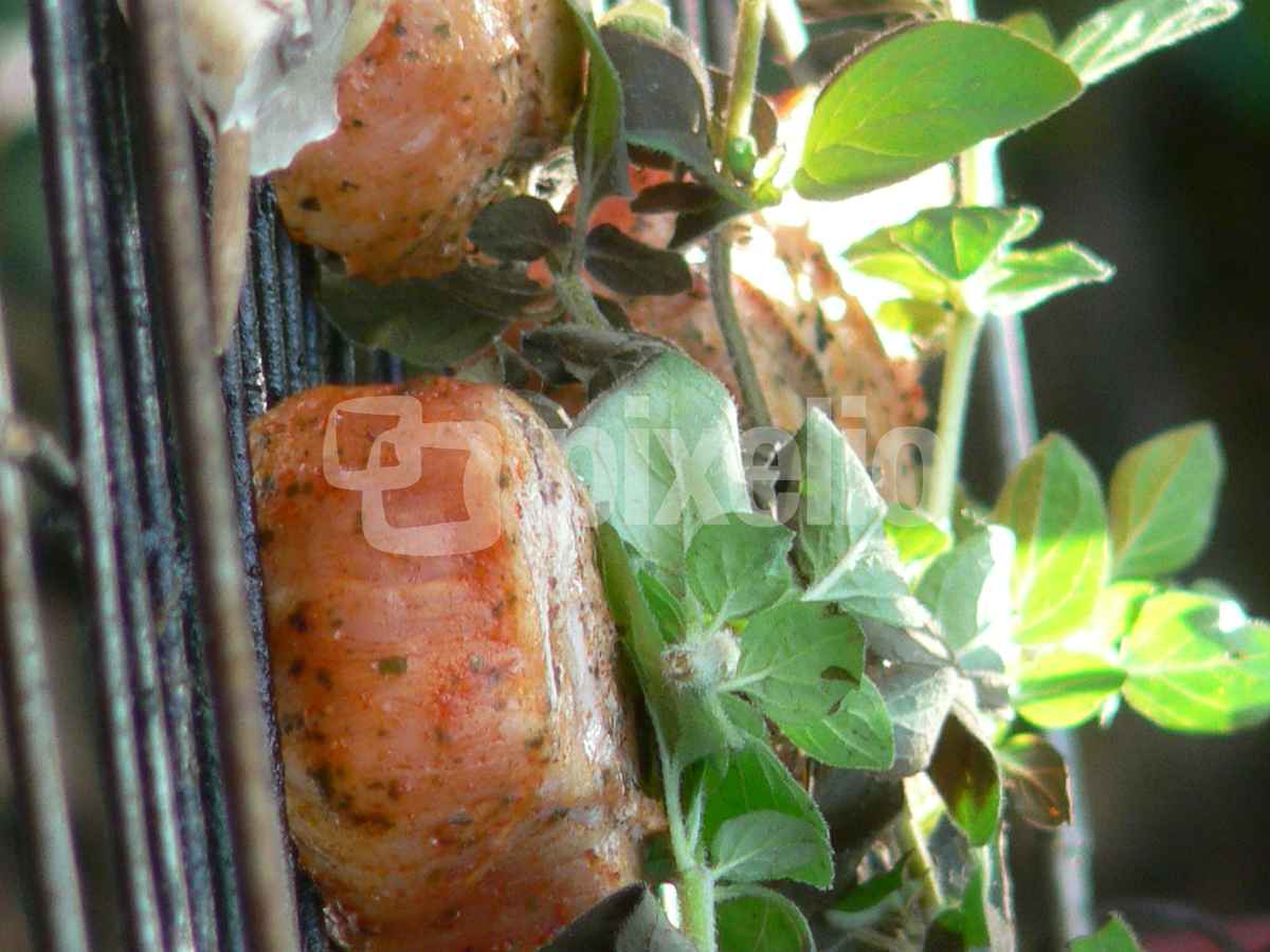 Grillfleisch
