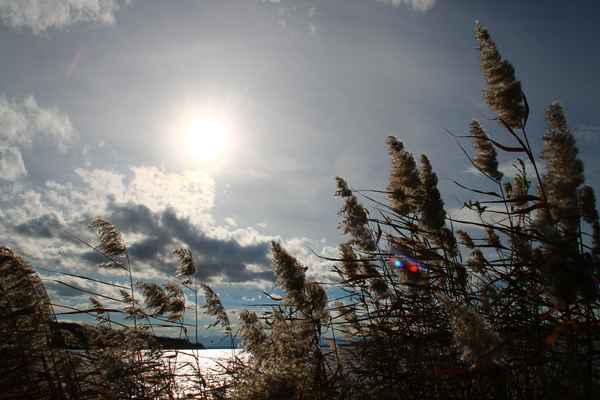 Stimmungsvoller Herbsttag...02