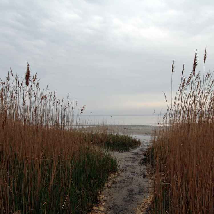 Ostseestrand Wohlenberg