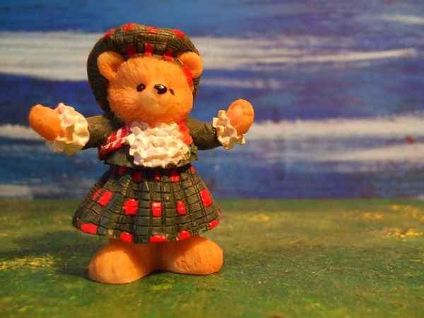 teddy 5