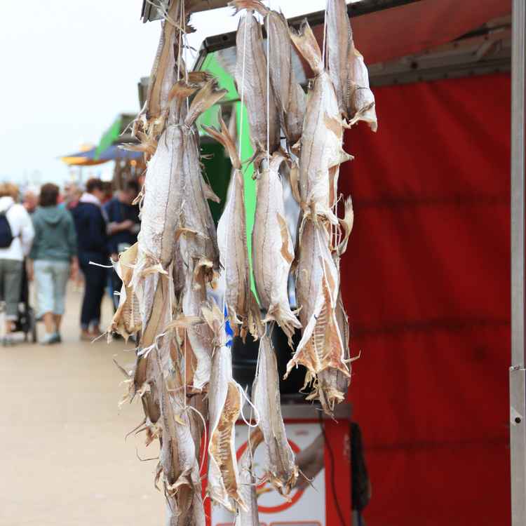 getrockneter Fisch