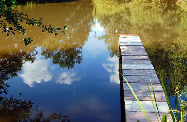 Teich Steg
