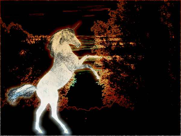 Einhorn 01