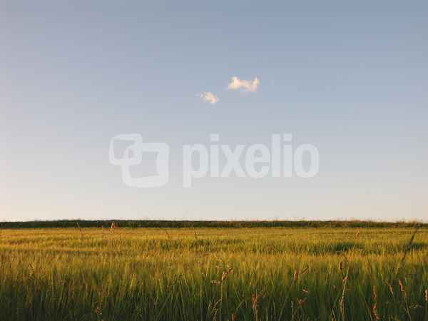 Zwei Abendwölkchen