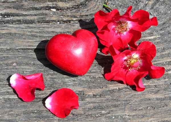 AUS LIEBE ............. II