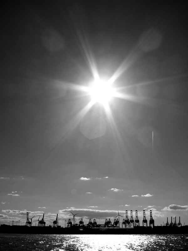 Hamburger Hafen: Kräne im Gegenlicht Foto: Alexander Hauk