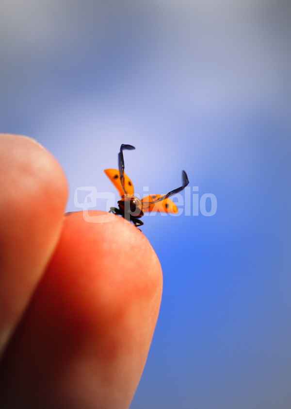 abflug