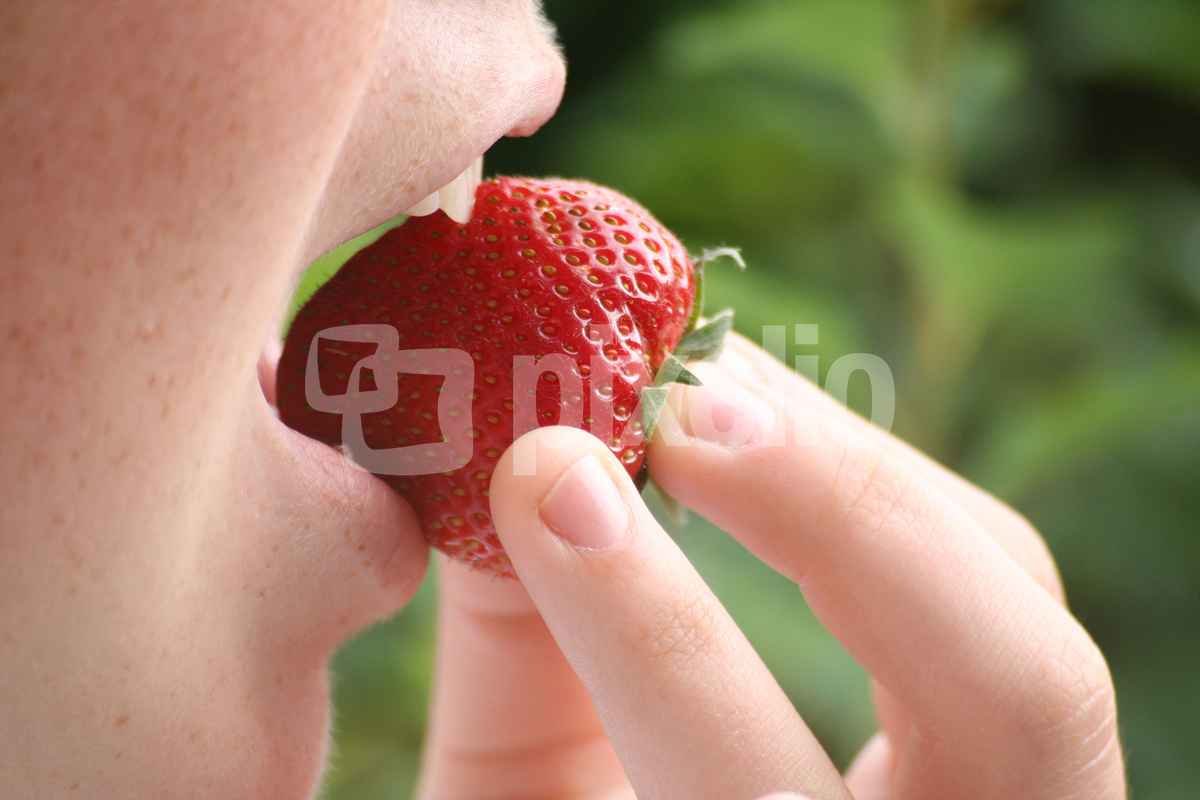 Leckere Erdbeere