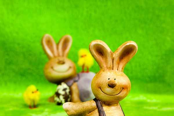 Lustiger Osterhase drängelt sich ins Bild