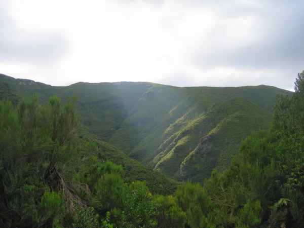 Landschaft Madeiras