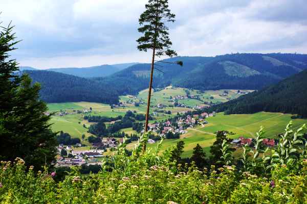 Wanderhimmel Baiersbronn