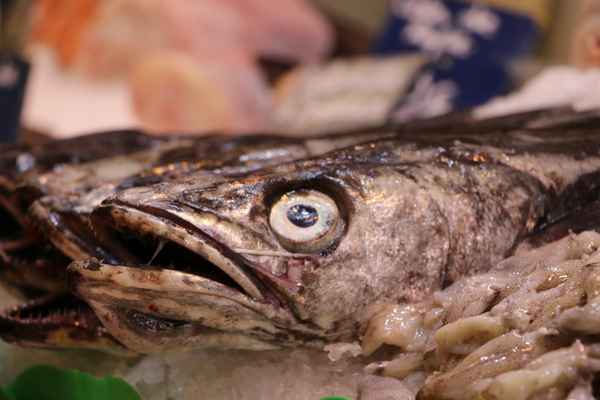 Schau mir in die Augen