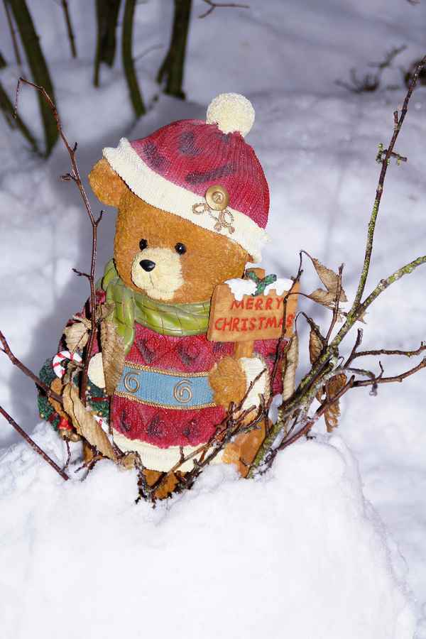 Merry Christmas Teddy