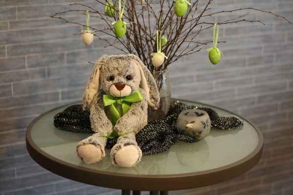 Hase