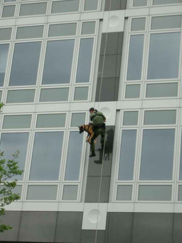 Abseiler mit Hund