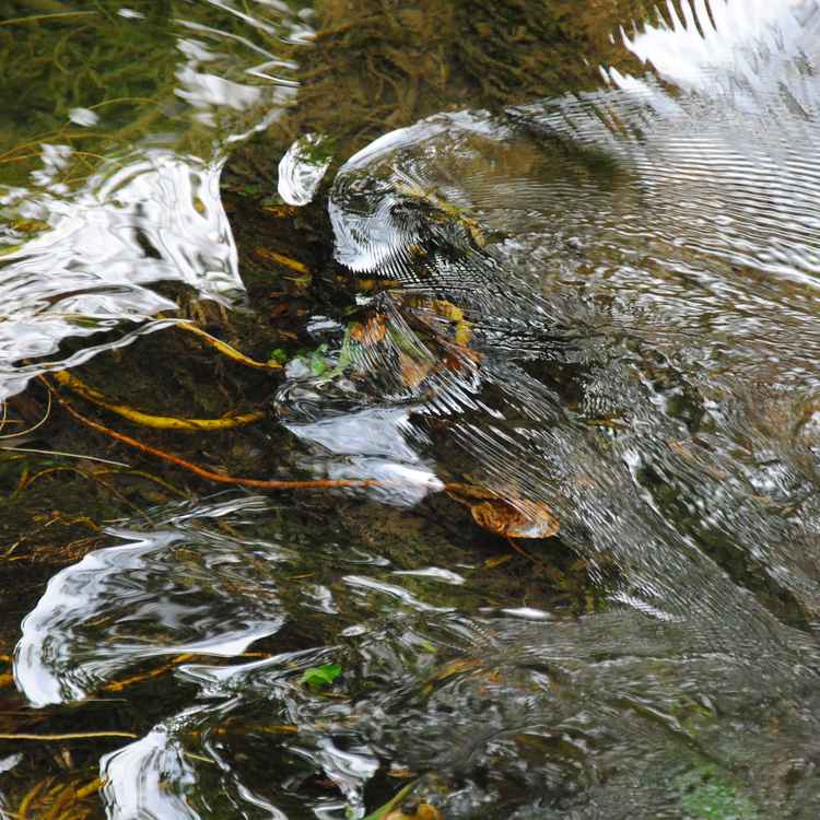 Wasserwege